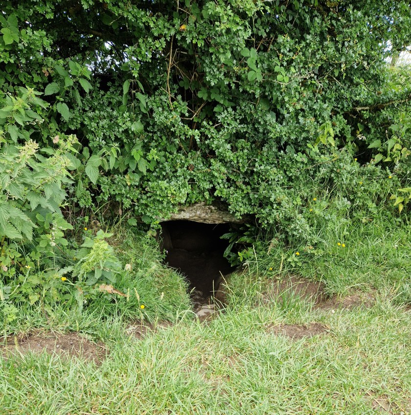 A photo of a small cave entrance. It sits amongst Green trees and bushes.