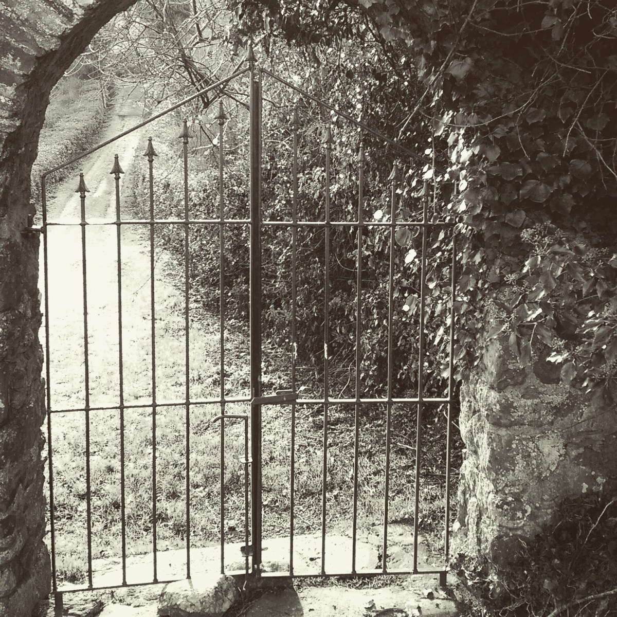 Well this is a&nbsp;mess